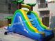 Childrens Outdoor Inflatable Water Slides for parties (amusement game, amusement park)