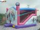 Customized Forzen 5 In 1 Combo Bounce House Jumpers With 0.55mm PVC Tarpualin