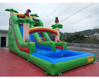 Pvc Tarpaulin Kids Inflatable Water Slide With Pool / Commercial Bounce House Water Slide