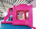 Frozen Double Slide Bounce House Combos Inflatable Bouncer