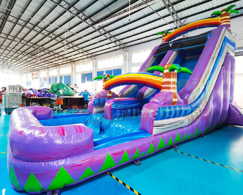 Carnival dành cho người lớn Bounce House Trượt nước ngoài trời